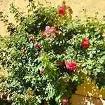 Diffuso Il Portichetto Sulla Collina A Vezio Hotel 3*