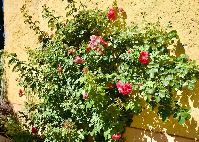 Diffuso Il Portichetto Sulla Collina A Vezio Hotel 3*